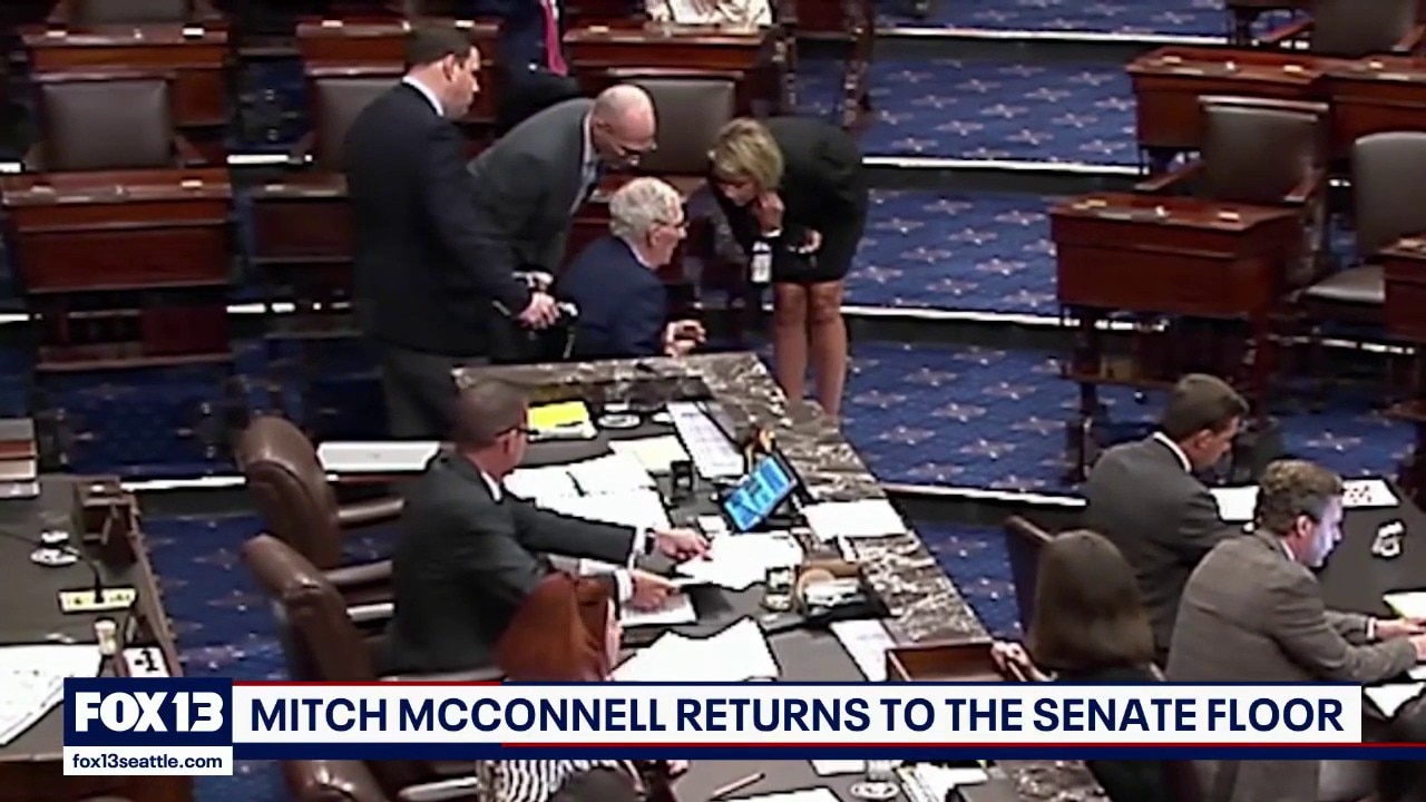 Mitch McConnell returns to Senate floor after 3 months