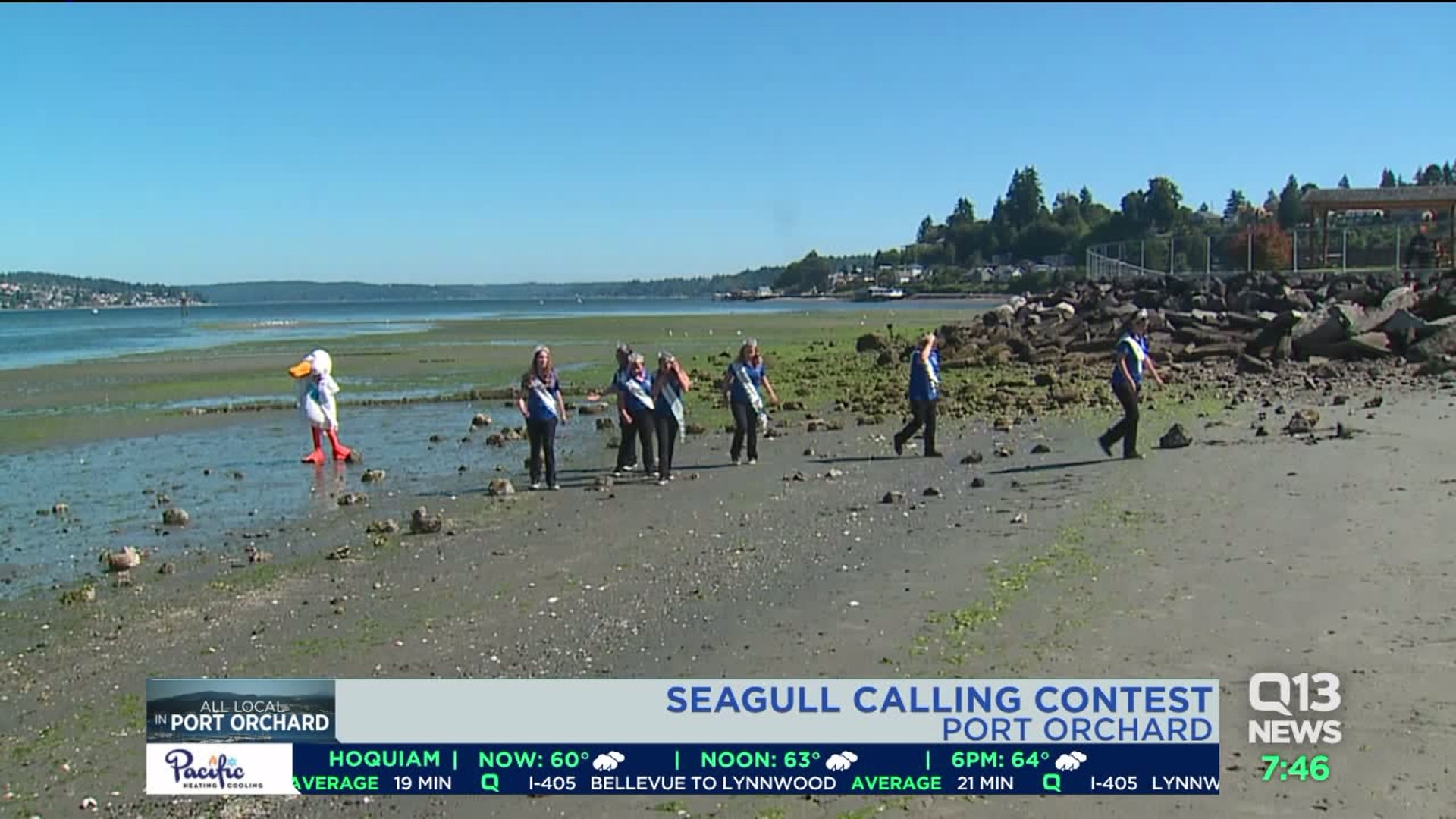 Port Orchard`s seagull calling contest