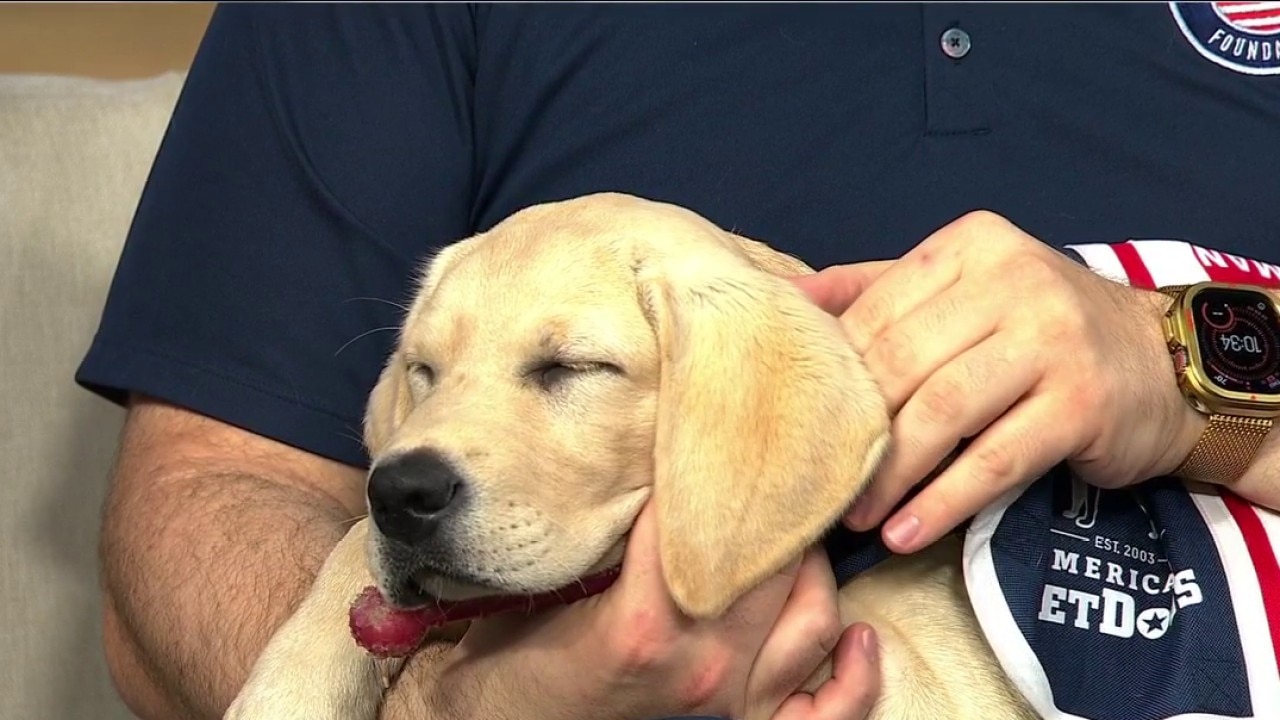 New service dog honors veteran Pat Tillman