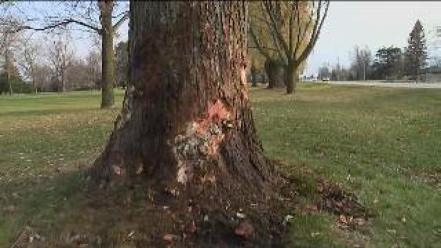 One student killed, two hurt in Fond du Lac crash