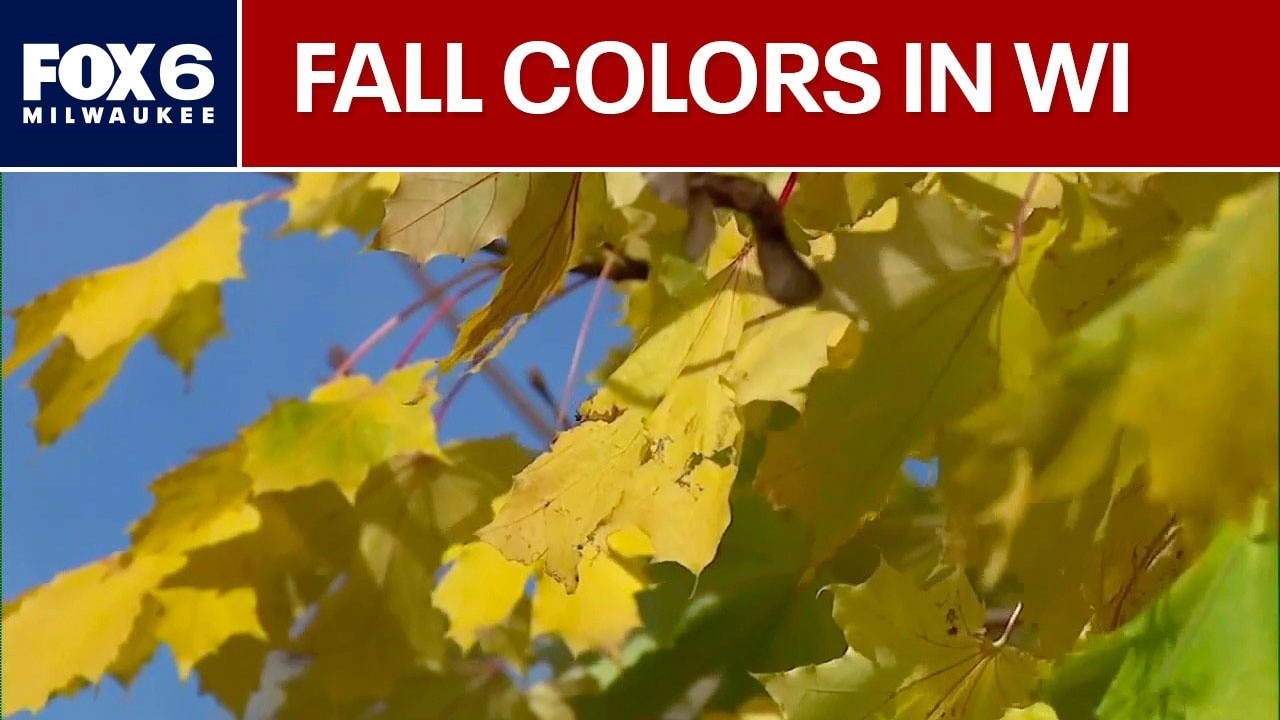 Wisconsin fall colors outlook for 2026