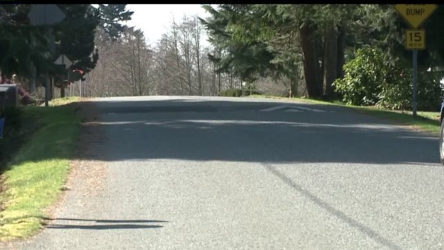 Lynnwood car theft and assault