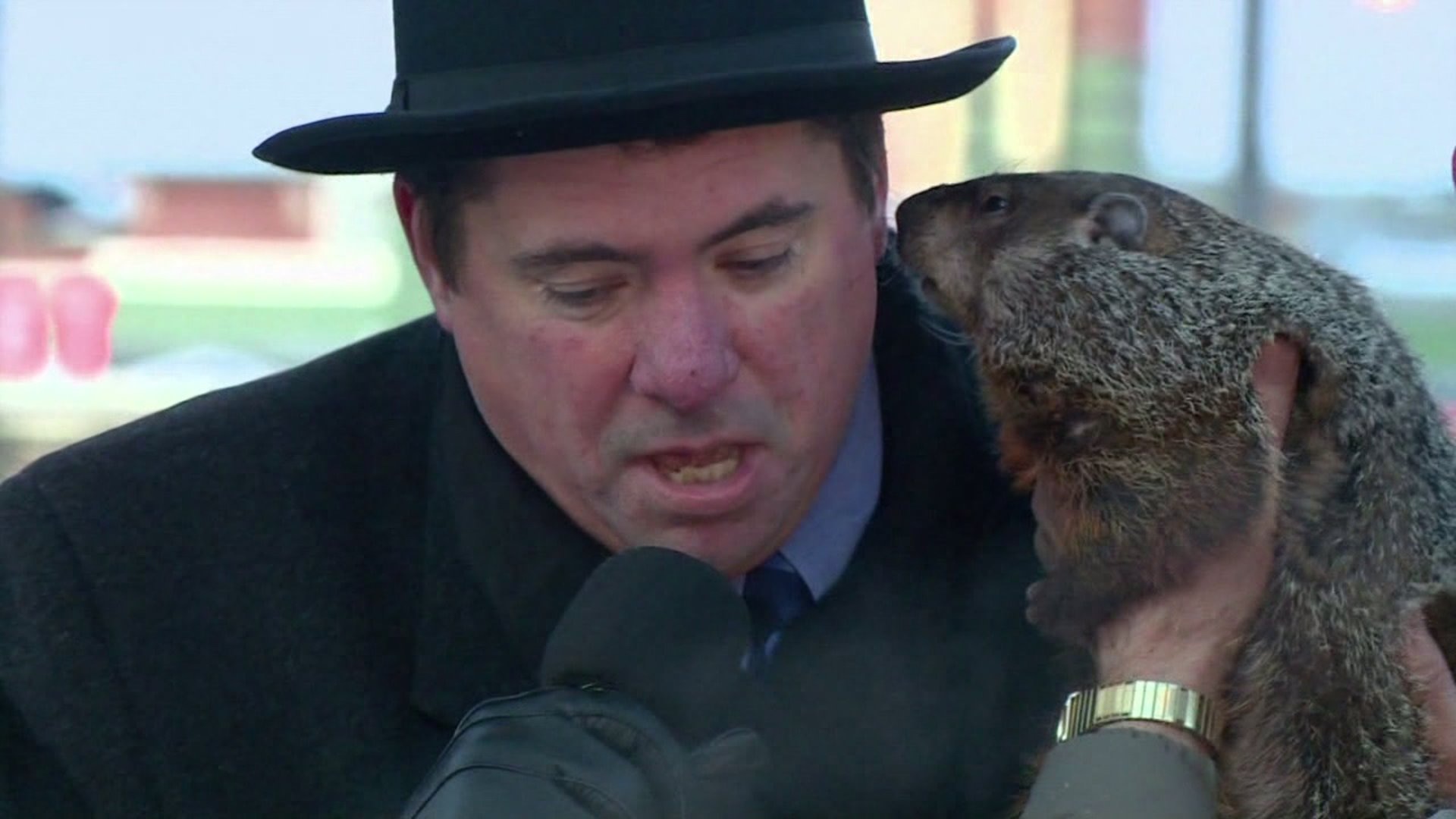 Jimmy the Groundhog bites mayor