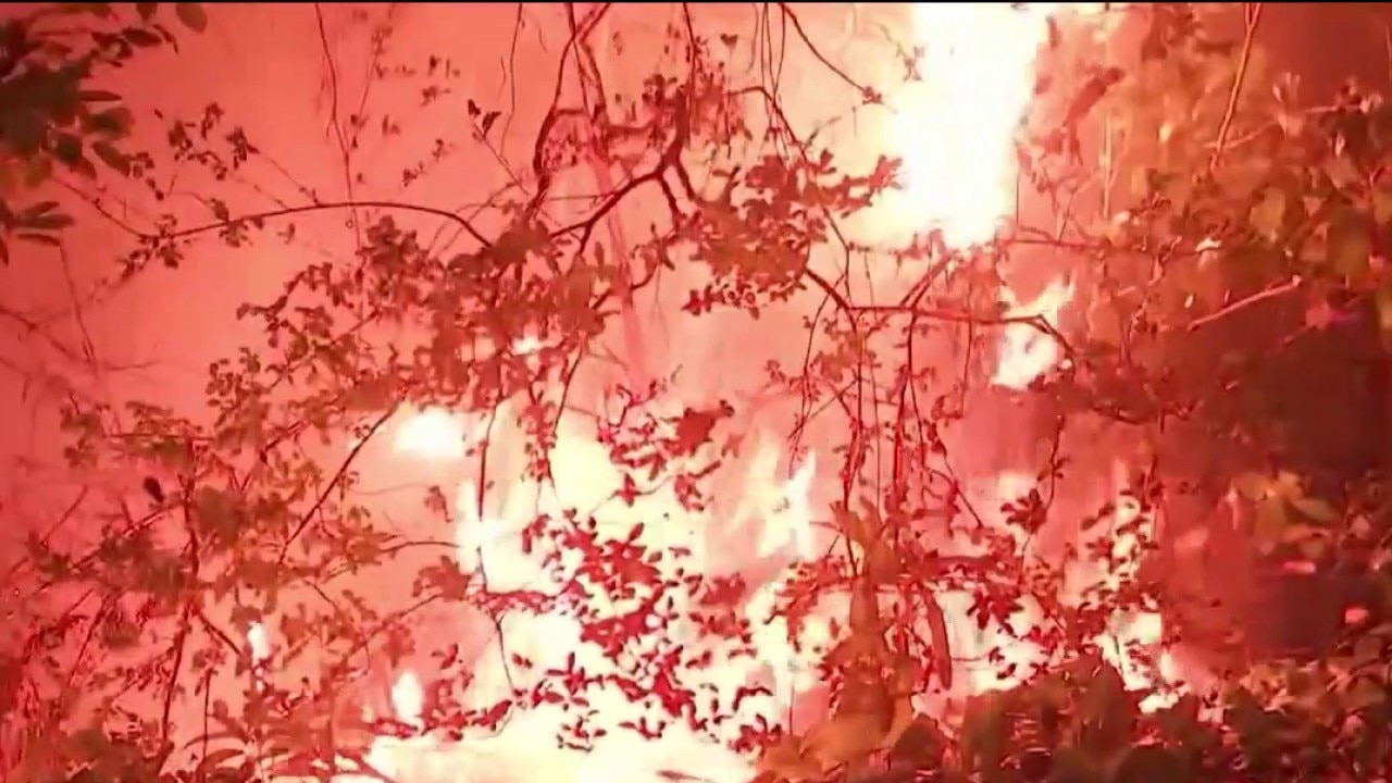 Man arrested in 15 DeKalb County brush fires