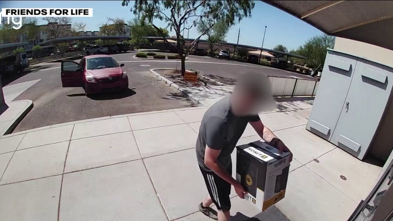 Cats abandoned in taped box at Gilbert animal shelter during extreme heat