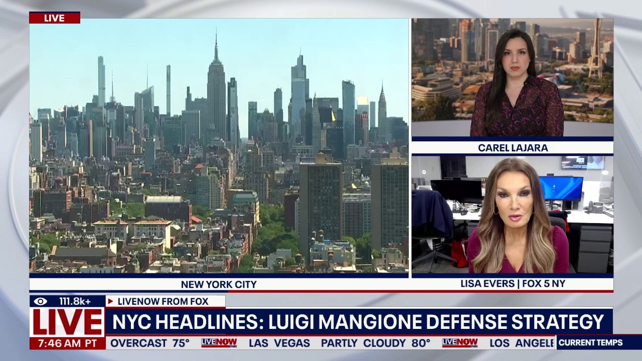 Mangione's defense & Gilgo Beach killer sentenced