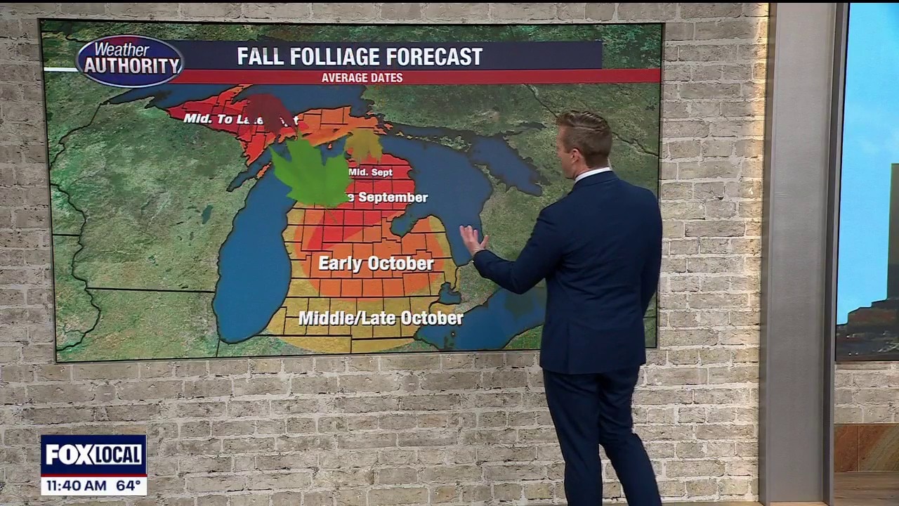 More dry weather for us