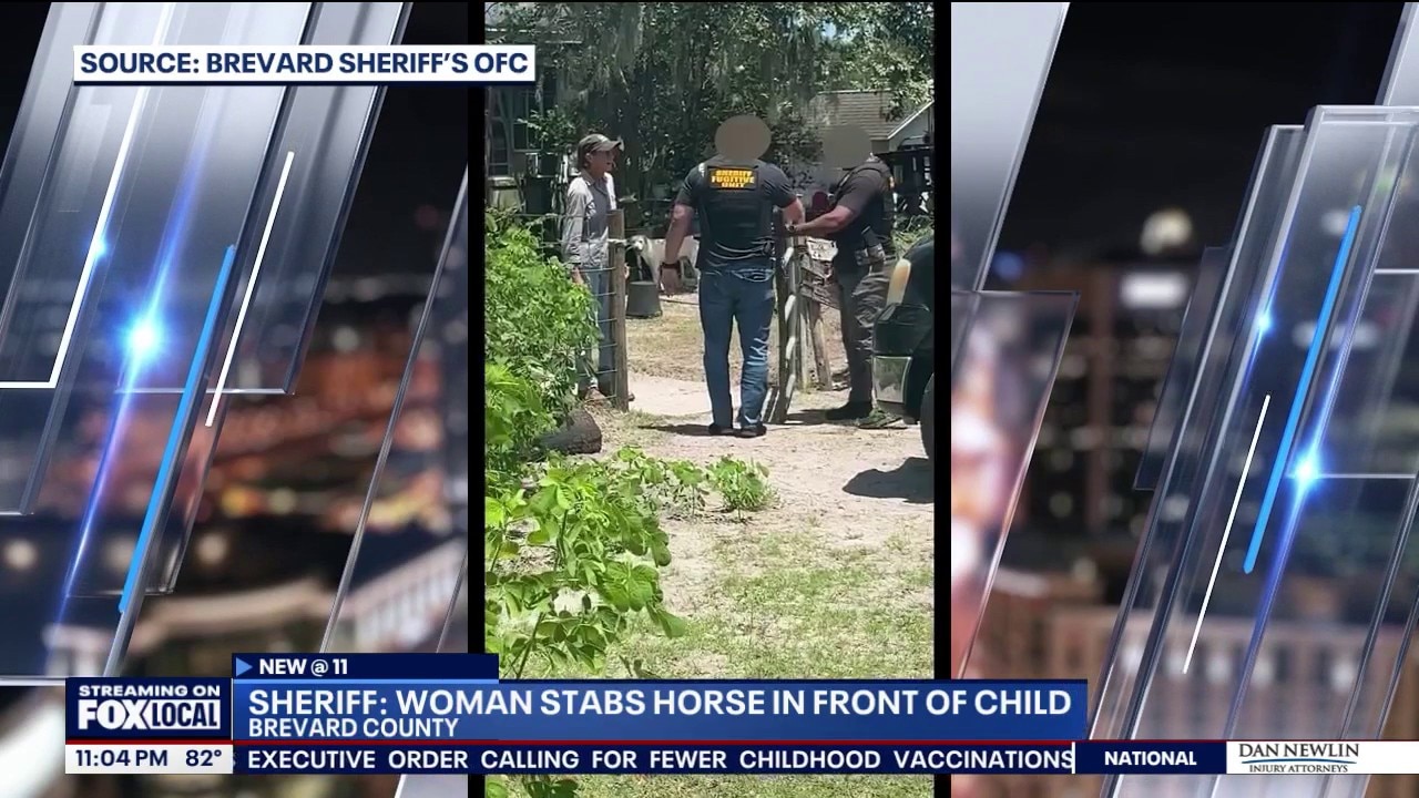 Woman accused of stabbing, whipping horse in front of child