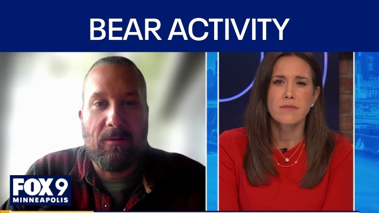 Preventing bear encounters 