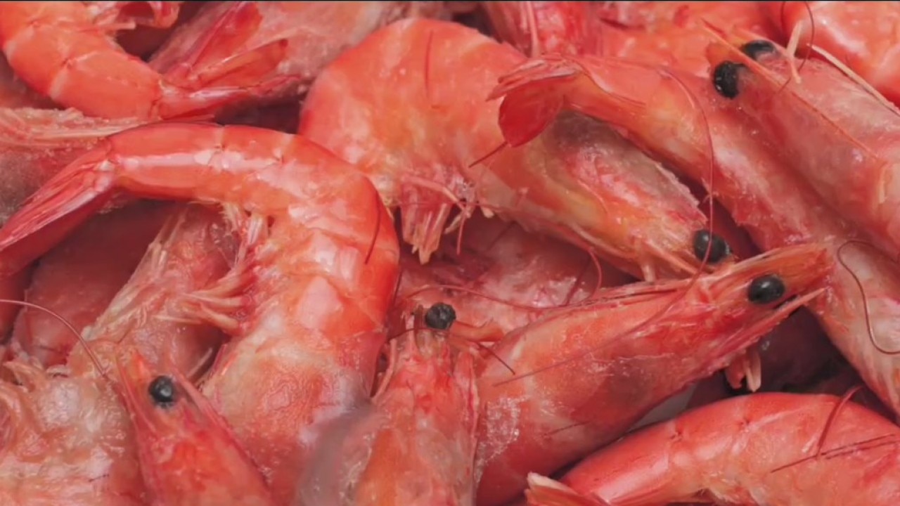 Crazy Azz Criminals: Man pockets $500 worth of shrimp from grocery store