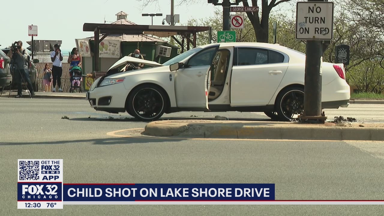 Toddler shot on Lake Shore Drive near Grant Park
