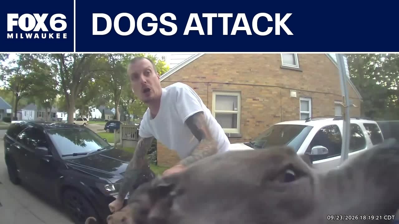 2 dogs terrorize Milwaukee neighborhood; people bitten, other dog killed