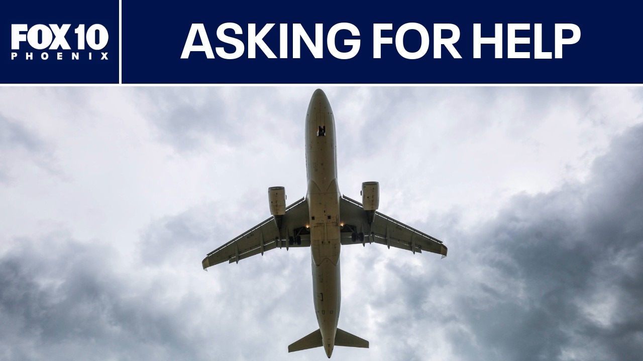 U.S. budget airlines seeking federal aid