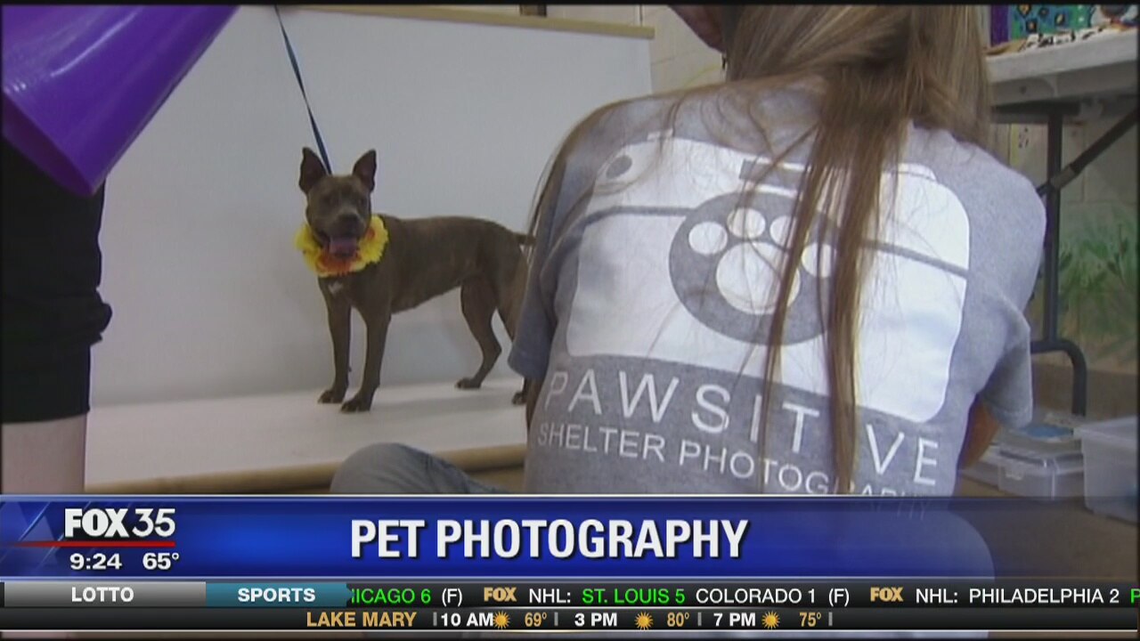 Volunteers save shelter animals through photography