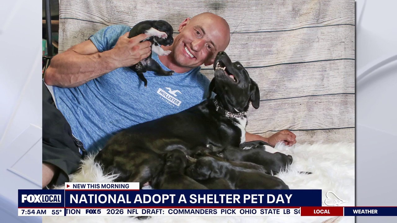 =Finding the longest waiting shelter dog 