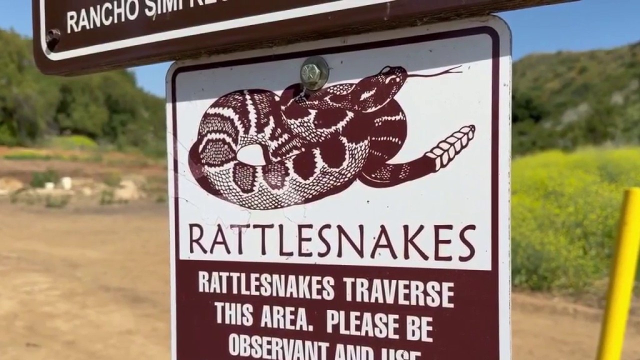 7th rattlesnake bite reported in Ventura County