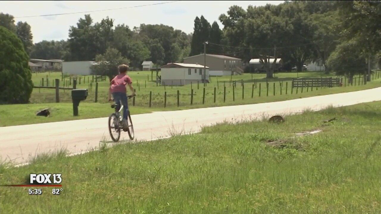 Bike stolen from Polk City child