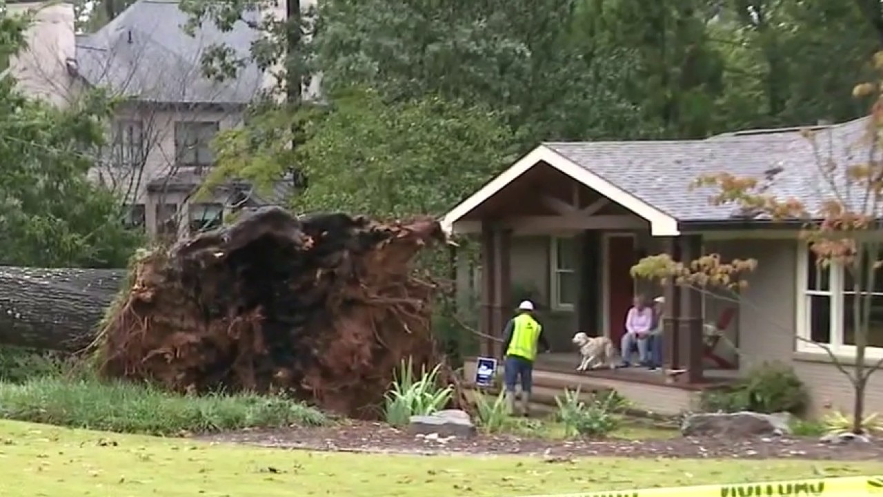 Lucky couple avoids close call with massive fallen oak tree