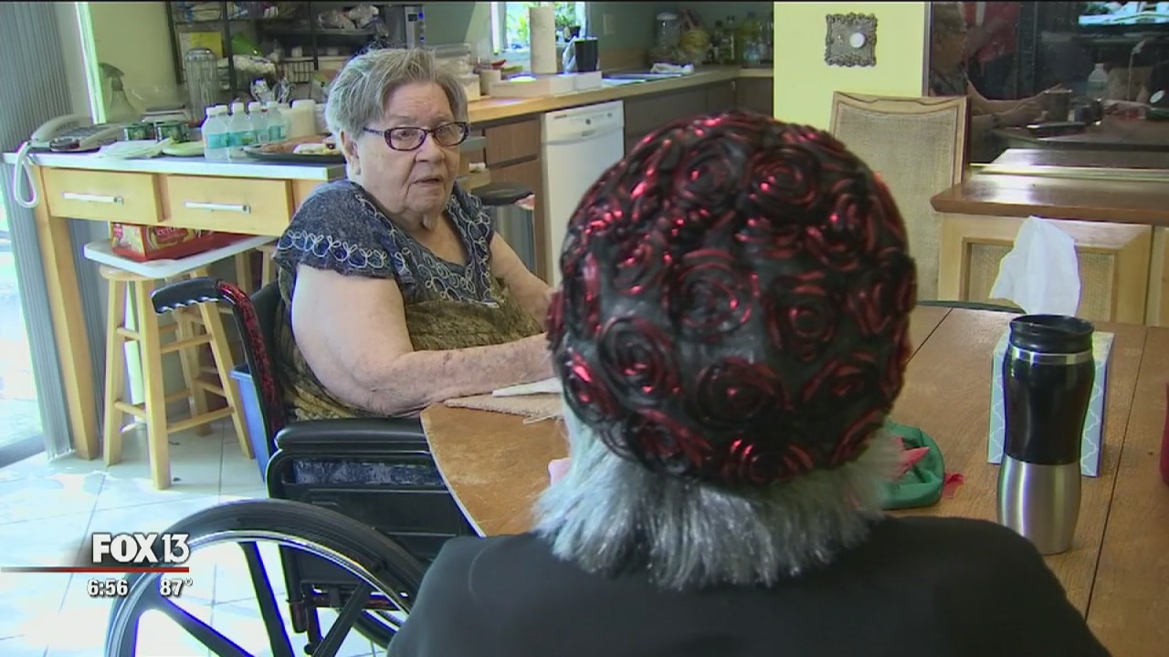 Program pairs homebound seniors with peers