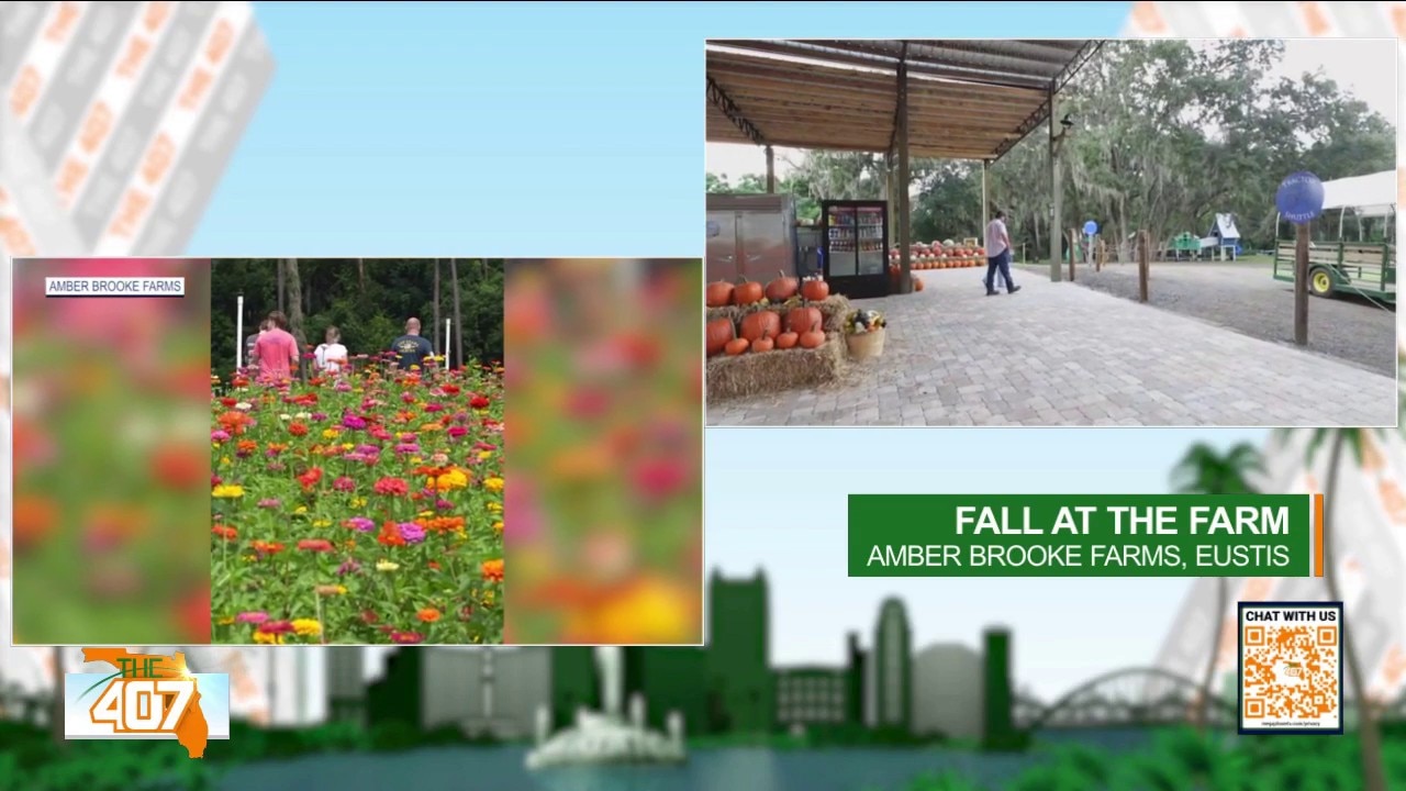 Fall adventures not to miss in Florida