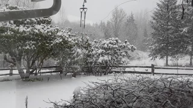 snow.video.mp4
