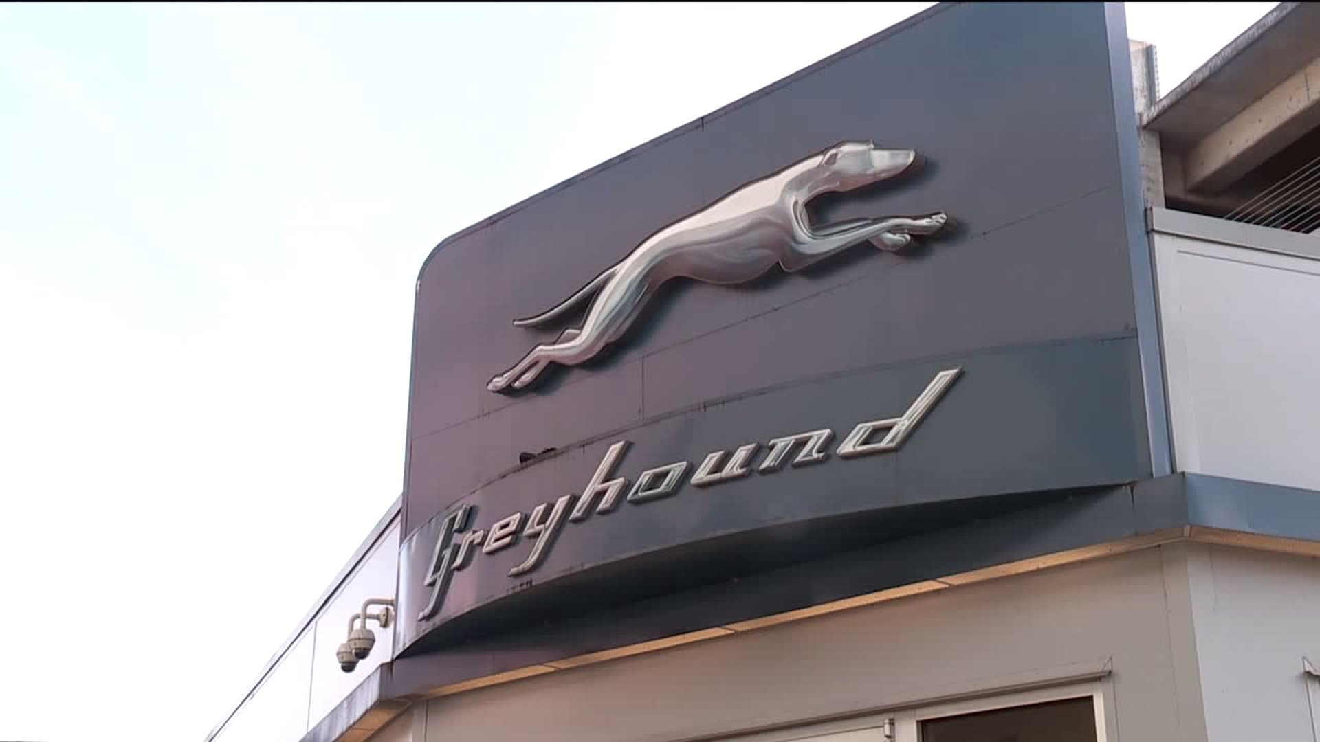 Comedian pulled off Greyhound bus, questioned by Border Patrol