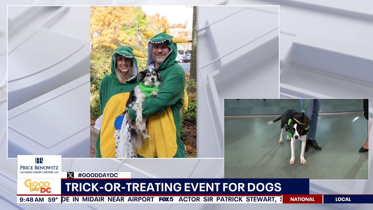 Trick-Or-Treating Event for Dogs