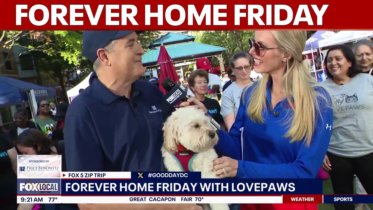 Forever Home Friday: FOX 5 Zip Trip to Rockville