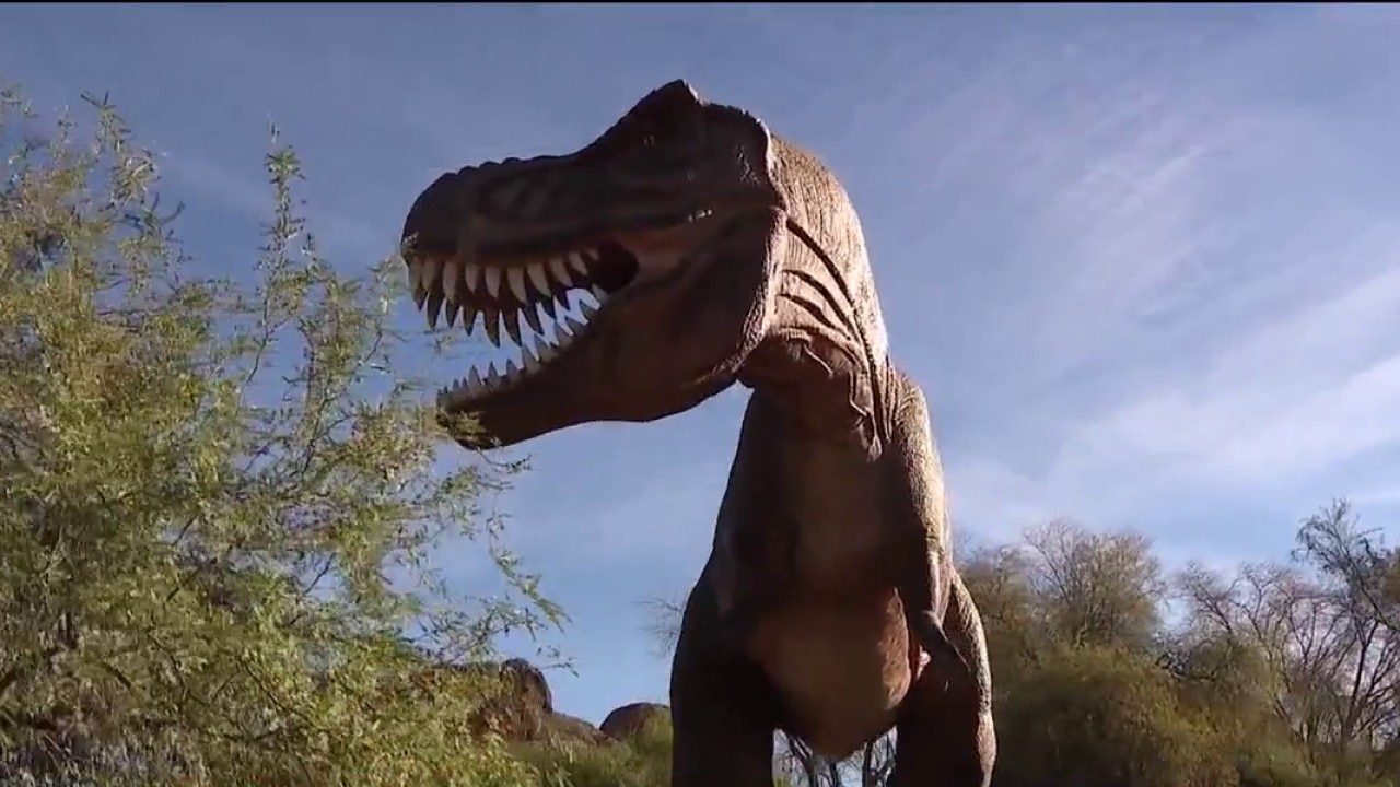 Trick-or-treat at Phoenix Zoo Spooky Safari