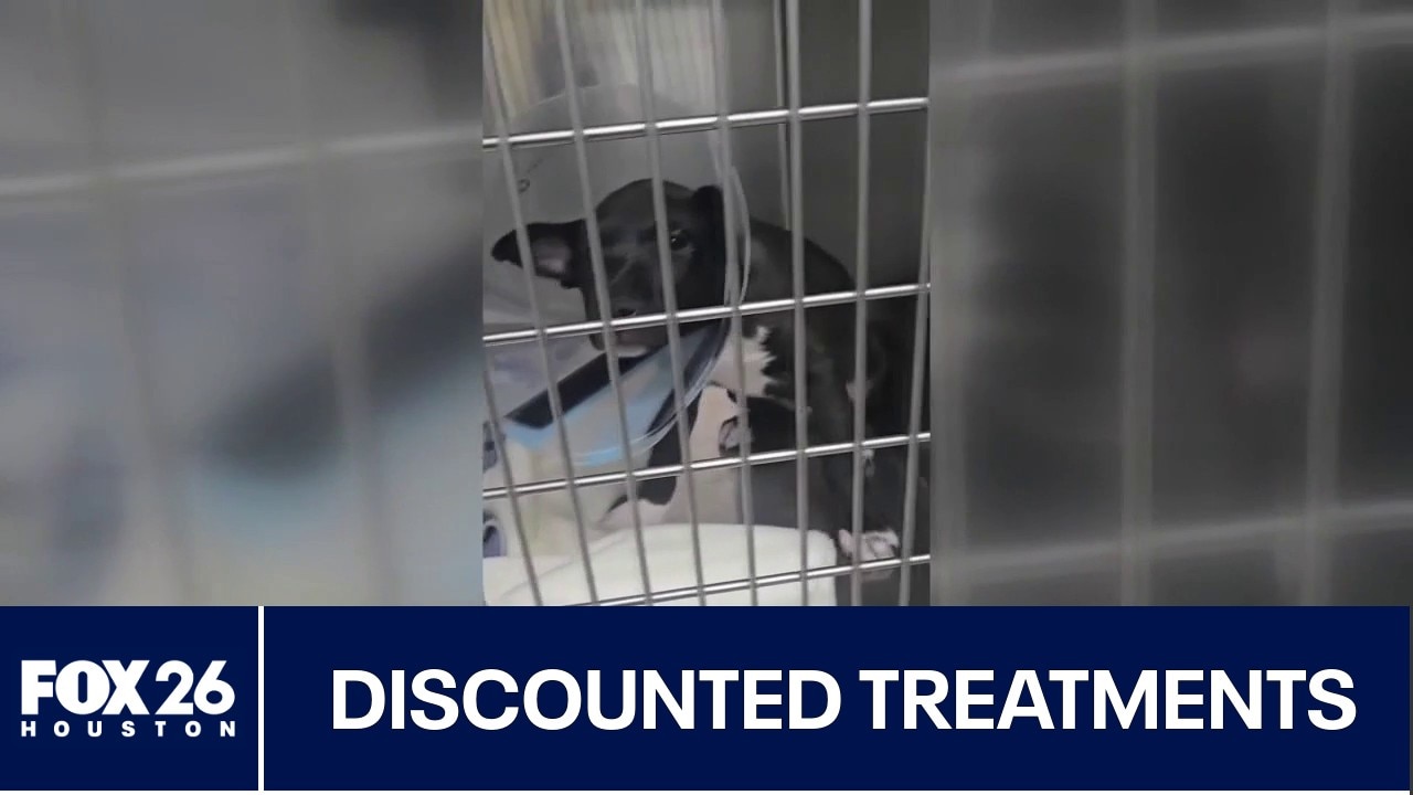 Houston-area animal rescue granted $150K for pet treatment
