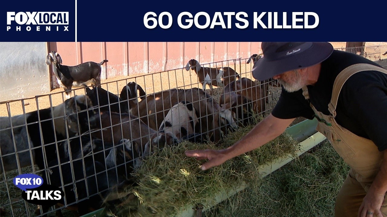 Goat farm loses 1/3 of livestock | FOX 10 Talks