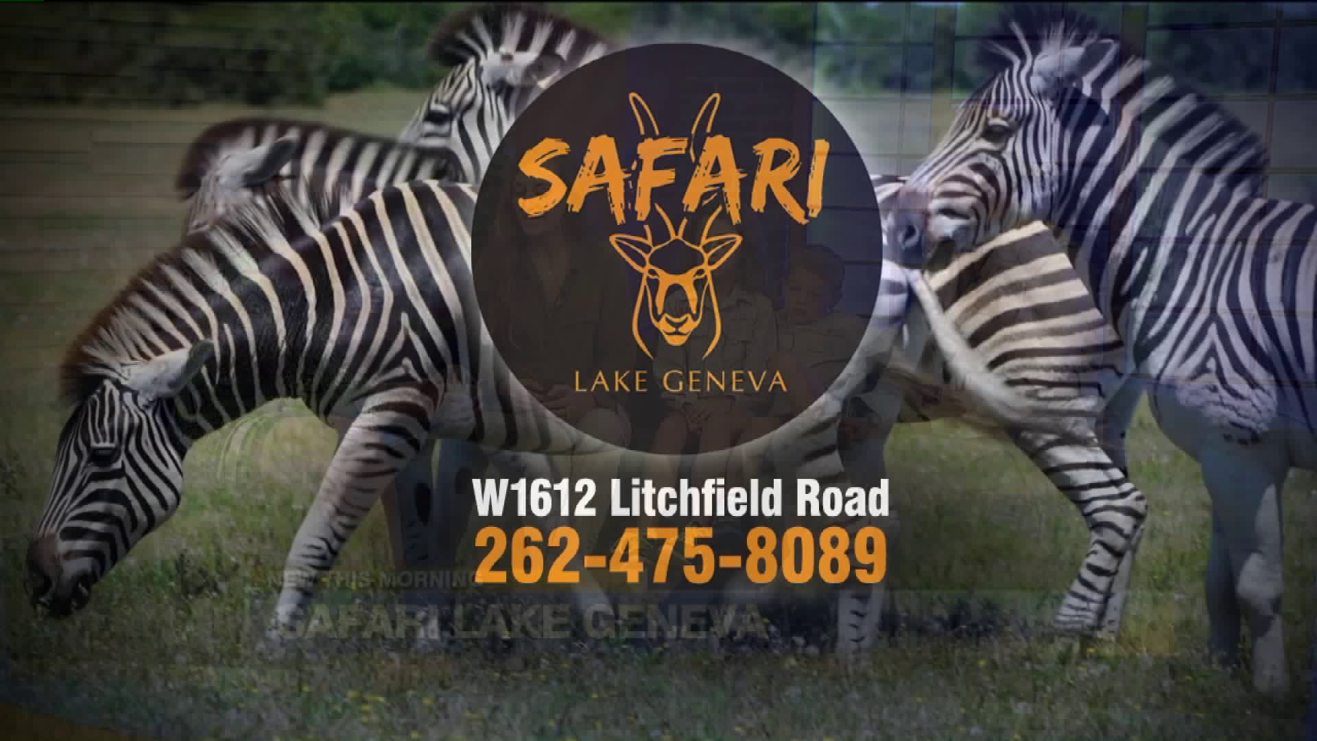 Safari Lake Geneva
