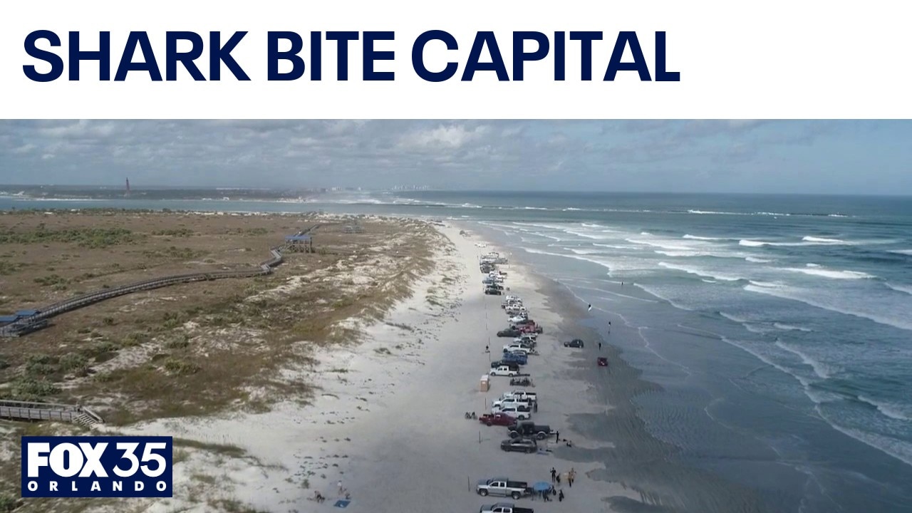 Experts explain why New Smyrna Beach leads nation in shark bites