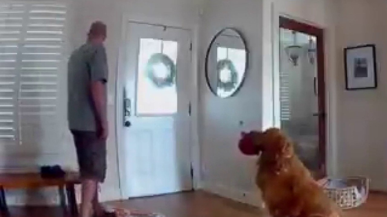 California 'guard dog' brings toys to home intruder