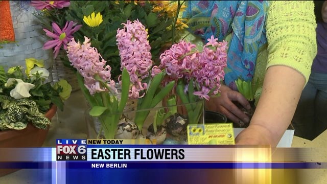 Laura learns how to properly care for fresh cut flowers