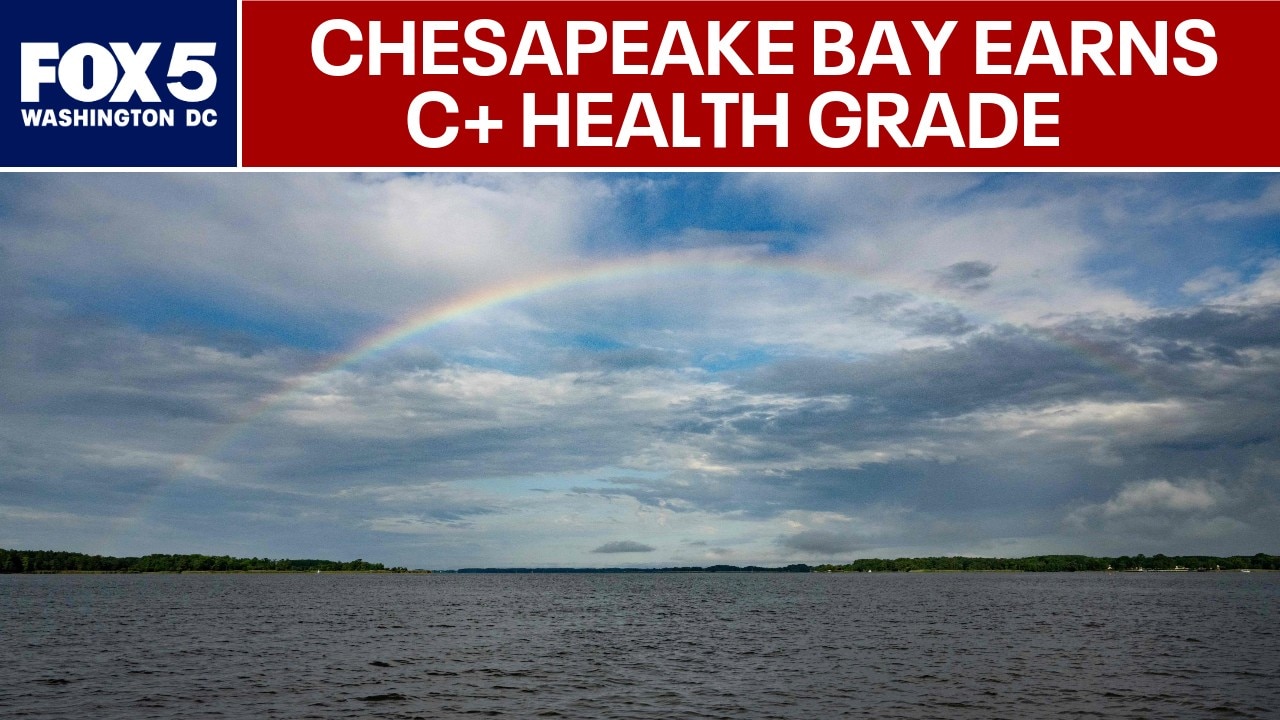 Chesapeake Bay earns highest health grade in 40 years
