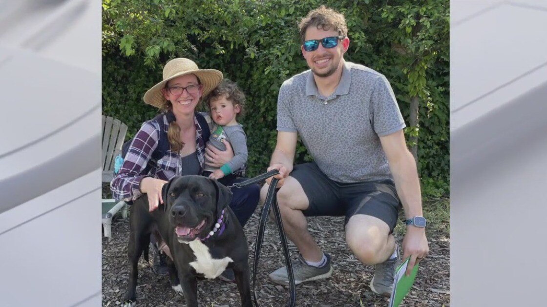 Family adopts Trudy from Oakland shelter after TV debut
