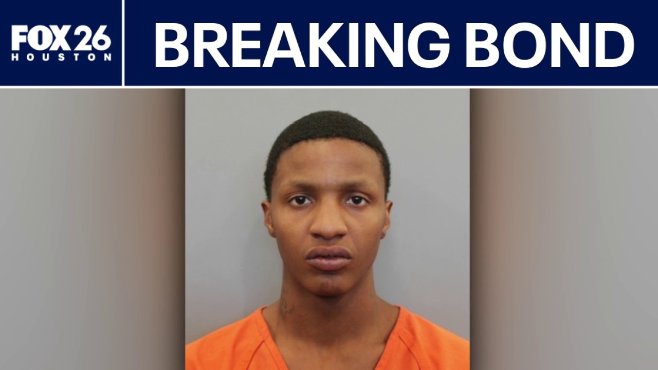 Theft suspect accused of crime spree while on bonds
