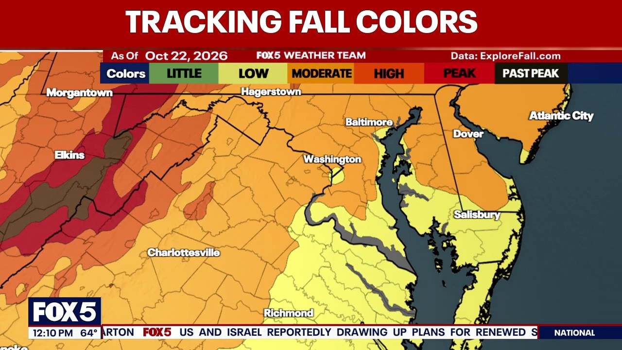 Mild, sunny Thursday ahead of cooler Friday temperatures