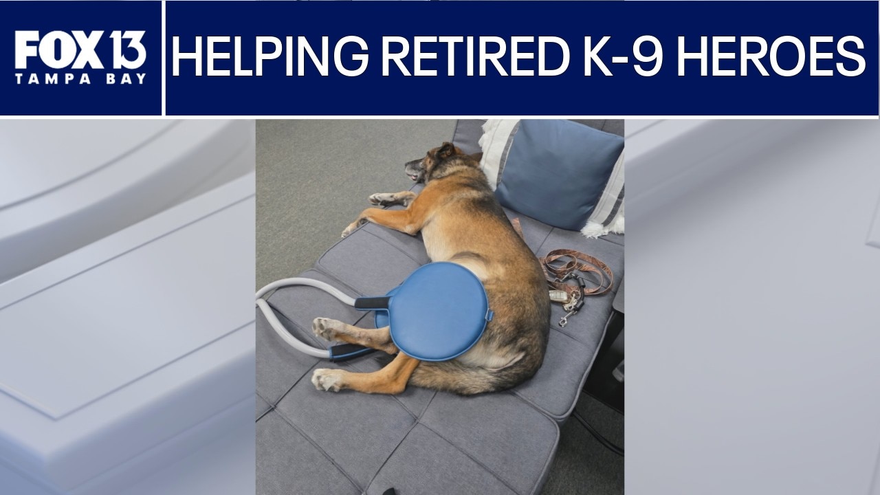New partnership gives retired police dogs pain relief