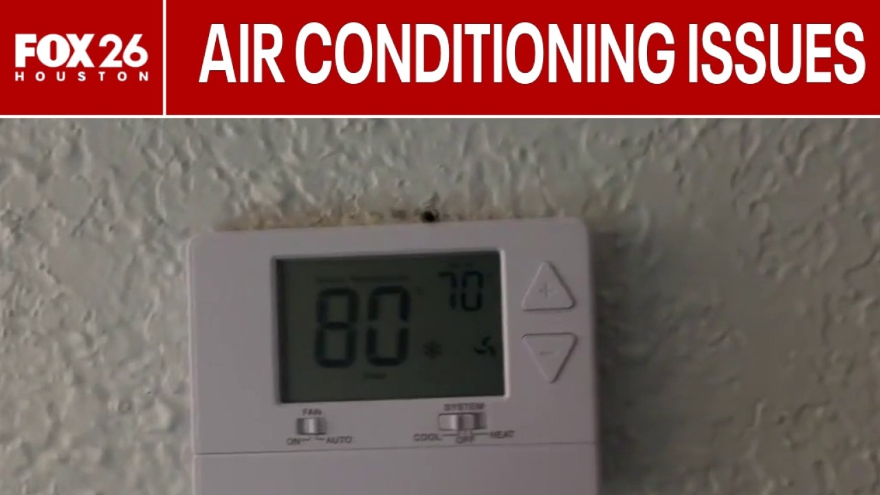 Bay City tenants report A/C, pest problems at Palm Village Apartments