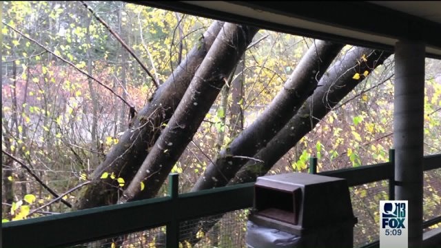 Storm damage on the Eastside