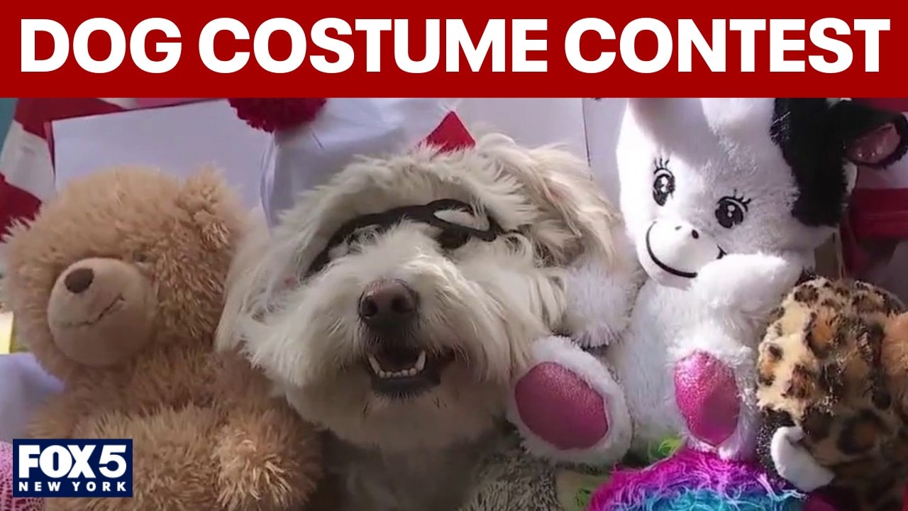 Annual great PUPkin dog costume contest 