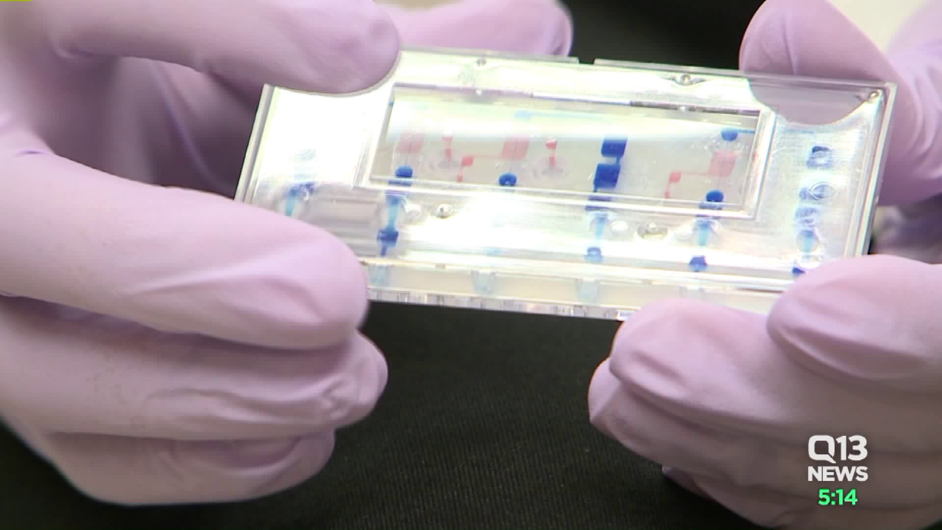 UW scientists to launch kidney cells into space