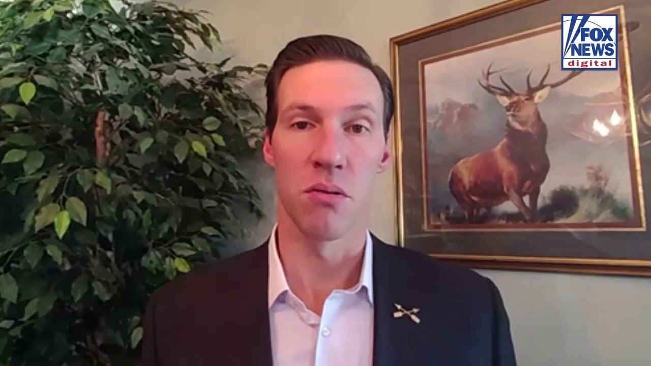 Watch GOP lawmaker moves to tighten restrictions on license plate ...