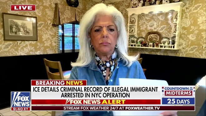 Vickie Paladino 'welcomes ICE,' warning illegal immigration is a 'constant battle' in NYC