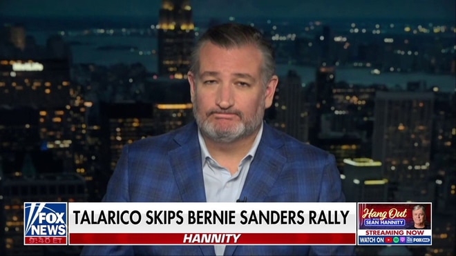 Abdul El-Sayed ‘flat-out lied’ in Muslim Brotherhood inquiry, Sen Ted Cruz says