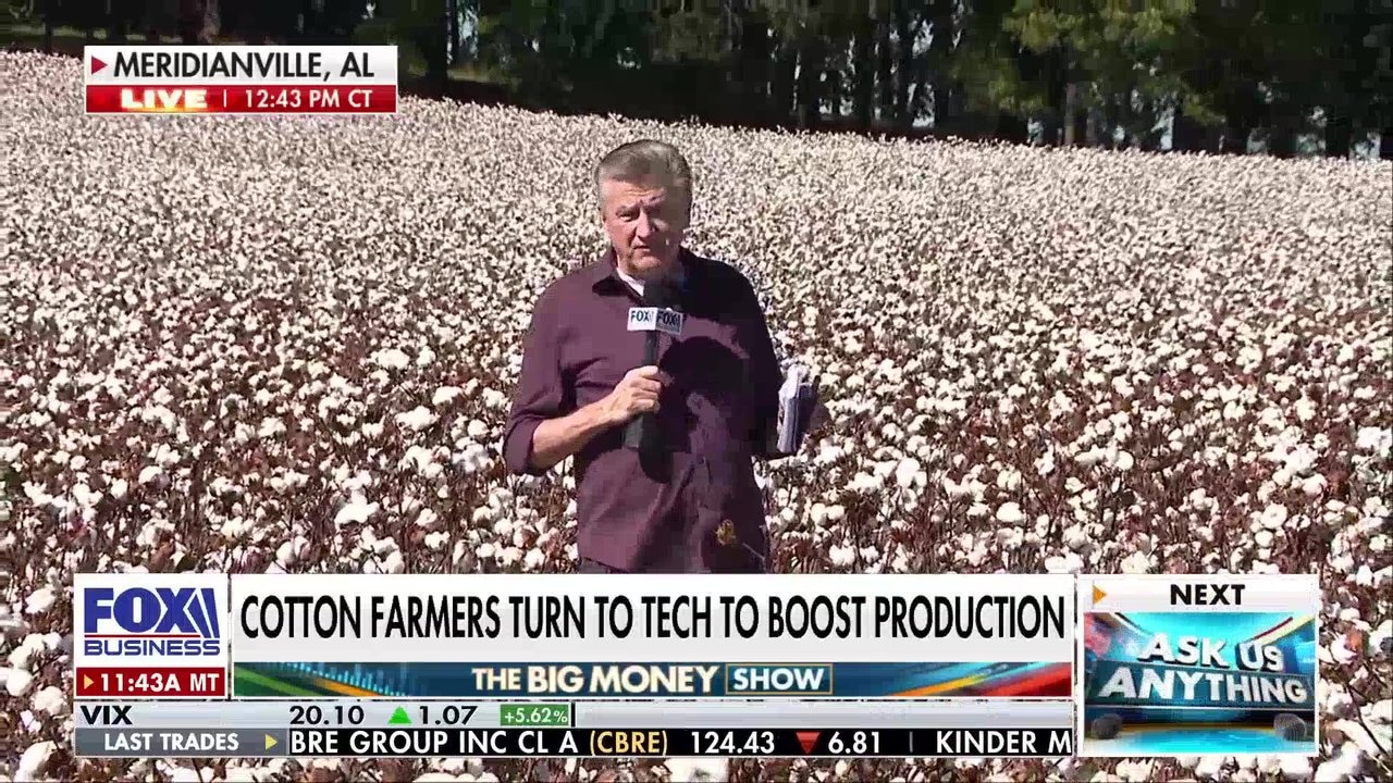 Fox Left Machine Watch Cotton farmers turn to drones and AI to manage crop production ...