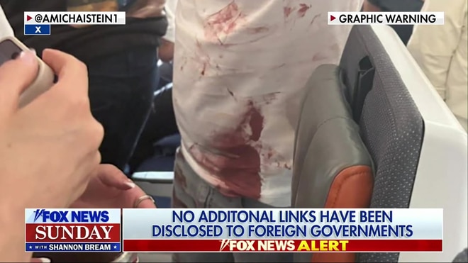 Hamam al-Hammami, accused in FlyDubai attack, allegedly attacked co-pilot with axe