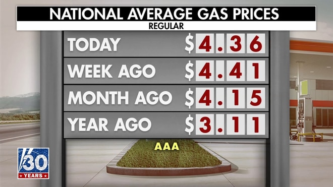 Fuel price relief is coming 'quickly,' Kevin Hassett says
